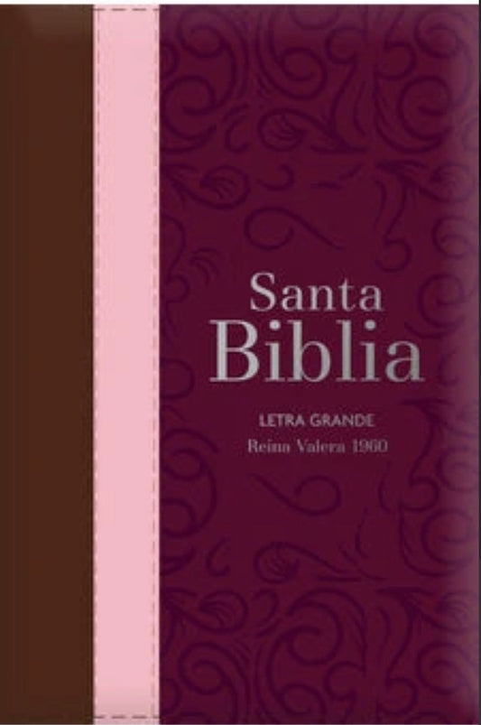 Santa Biblia Reina Valera 1960 con índice
